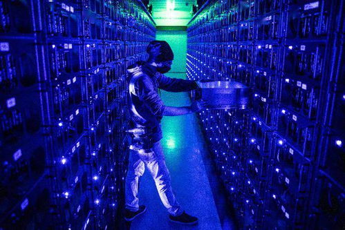 Large scale cryptocurrency mining farm with rows of mining rigs