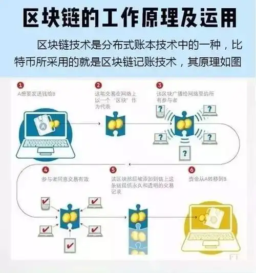 A picture showcases the scale and setup of a mining farm