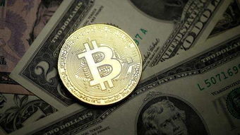 High-efficiency Bitcoin mining rig working in a mining farm